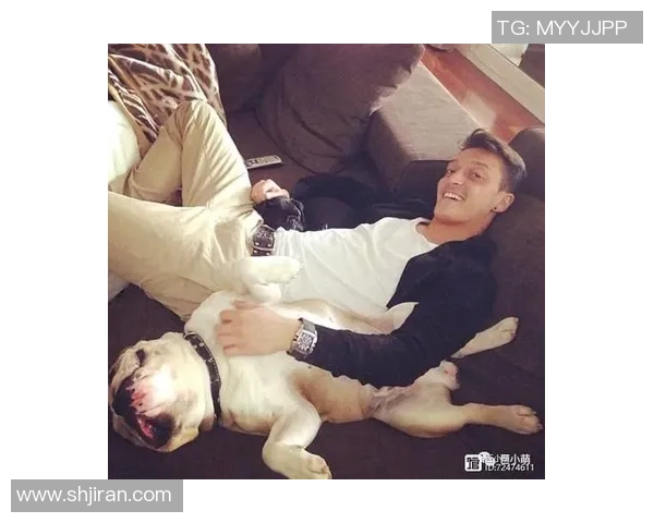 足球明星与可爱狗狗的温馨瞬间分享与回忆 足球明星与可爱狗狗的温馨瞬间分享与回忆