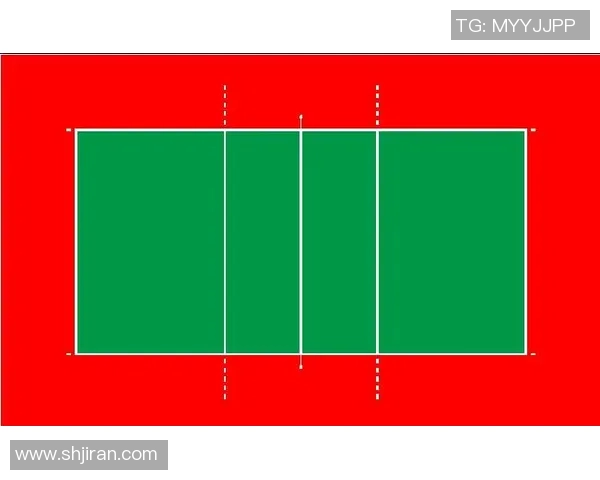 广州排球队实力分析与发展前景探讨聚焦排球运动的未来之路